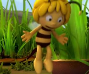 Arı Maya Barry'nin Gözlüğü