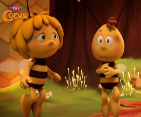 Arı Maya Bir Günlük Kraliçe