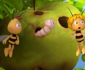 Arı Maya Küçük Elma Kurdu