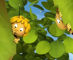 Arı Maya Kurtarıcı Maya