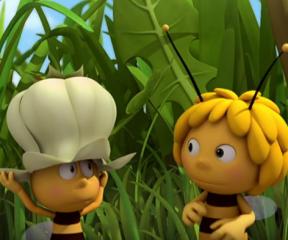 Arı Maya Mayaya Uyku Yok