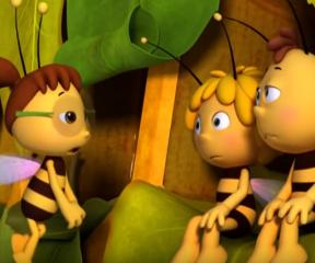 Arı Maya Willy Taşınıyor