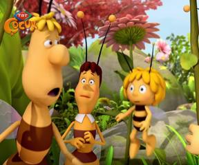 Arı Maya Yanıltıcı Görüntüler