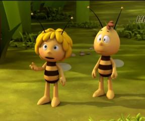 Arı Maya Yasak Meyve