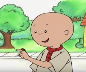 Caillou Dinazor Avcısı Caillou