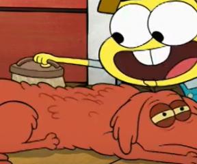 Greenlerin Büyükşehir Maceraları Cricket'ın Köpeği Kayboluyor