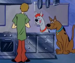 Scooby Doo Trende