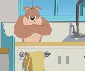 Tom ve Jerry Spike ve Tom