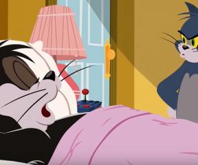 Tom ve Jerry Yeni Yatak