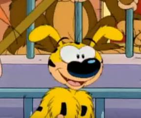 Uzun Kuyruk Marsupilami Hayvanat Bahçesi